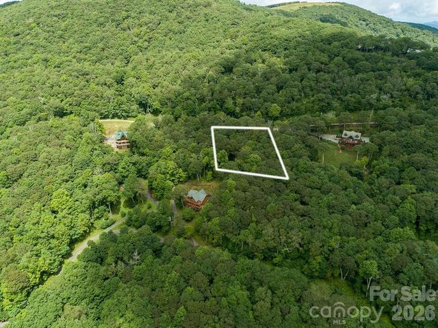 366 Birch Springs Lane 366, Mars Hill, NC 28754