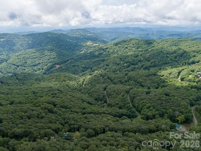 366 Birch Springs Lane 366, Mars Hill, NC 28754