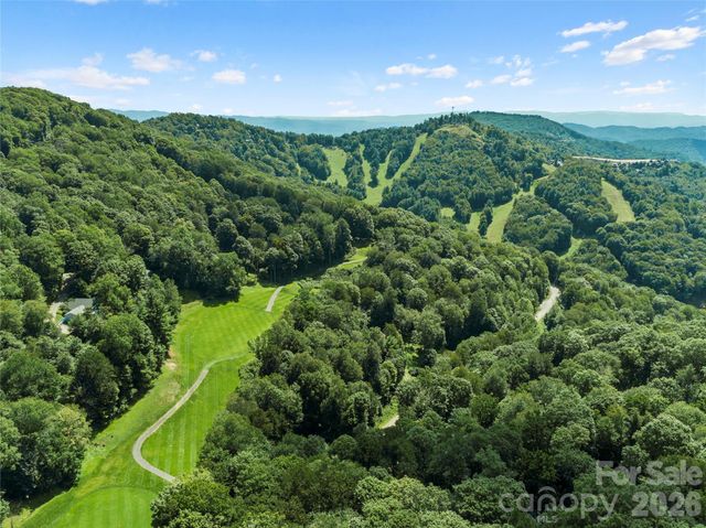 366 Birch Springs Lane 366, Mars Hill, NC 28754