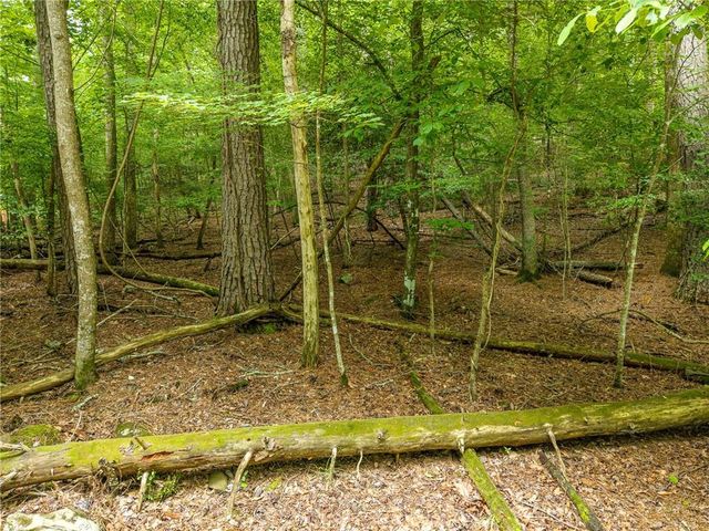 0 Faraday Drive, Ellijay, GA 30540