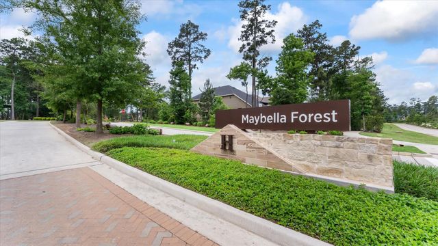 327 Honey Mesquite Path, Conroe, TX 77318
