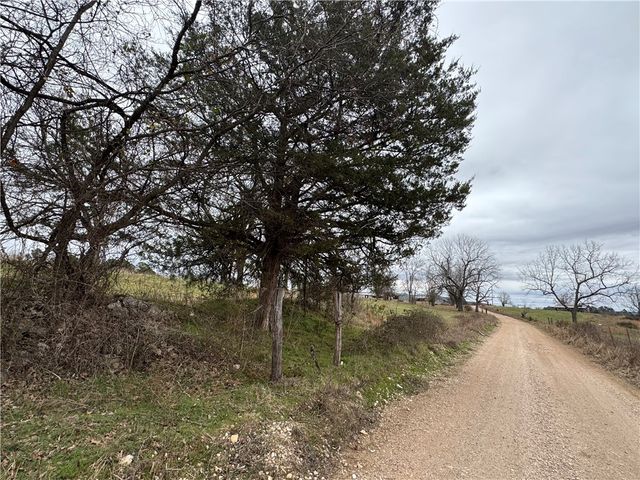 Tract B Nicewarner Road, Lincoln, AR 72744