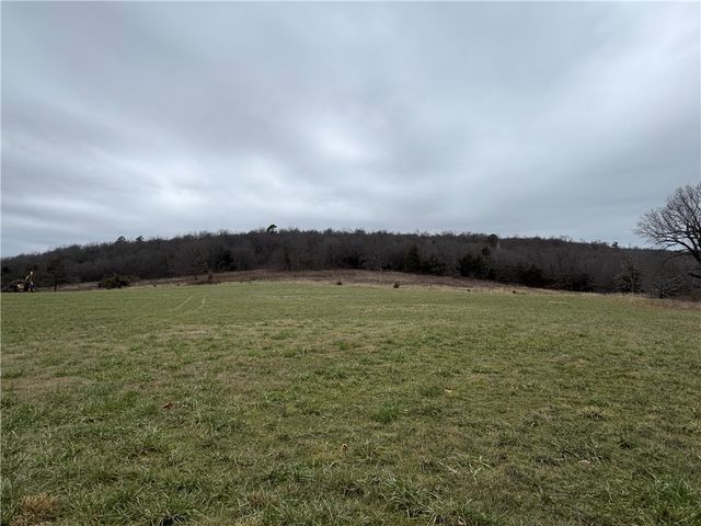 Tract B Nicewarner Road, Lincoln, AR 72744