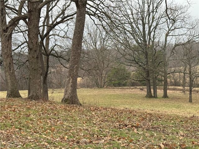 Tract B Nicewarner Road, Lincoln, AR 72744
