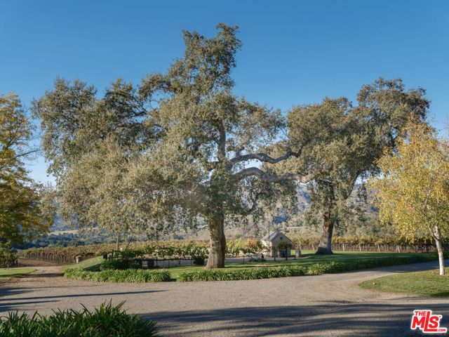 20300 Cachagua Road, Carmel Valley, CA 93924