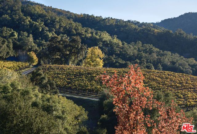 20300 Cachagua Road, Carmel Valley, CA 93924