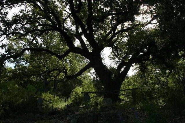 Lot 13042 Branding Iron, Horseshoe Bay, TX 78657