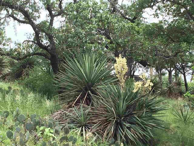 Lot 13042 Branding Iron, Horseshoe Bay, TX 78657
