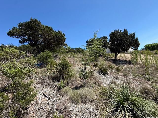 000 Linwood Ridge, San Antonio, TX 78255