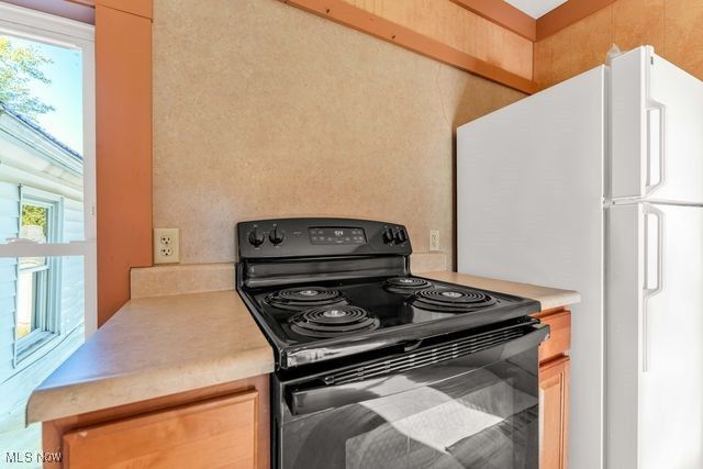 112 Vine Street, Wellington, OH 44090