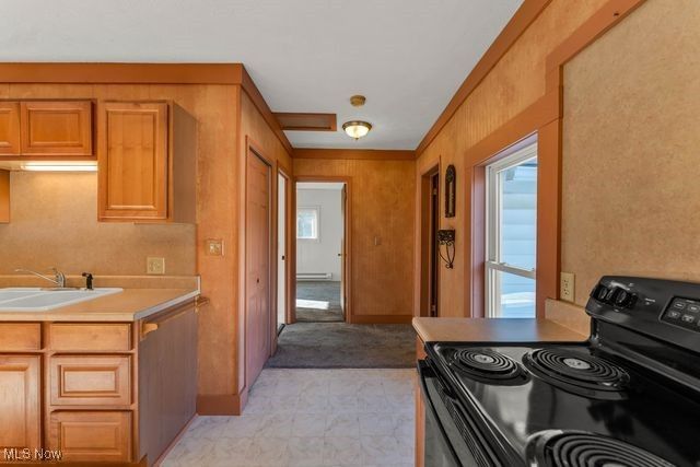 112 Vine Street, Wellington, OH 44090