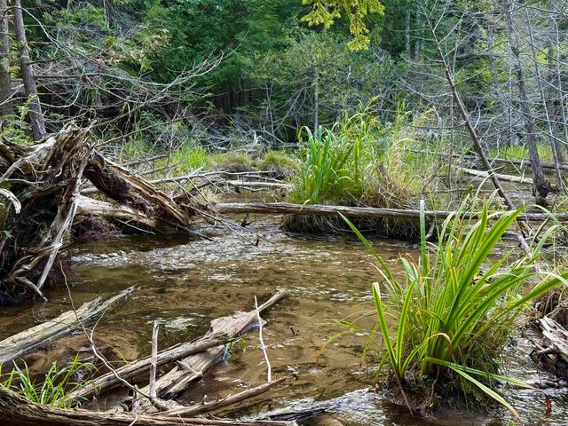 13005 S Partridge Run Drive, Traverse City, MI 49684