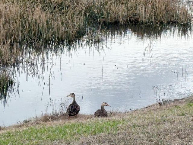 11937 BAHIA VALLEY DRIVE, Riverview, FL 33579