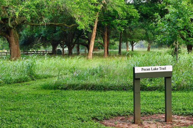 30803 Riverlake Road, Fulshear, TX 77441