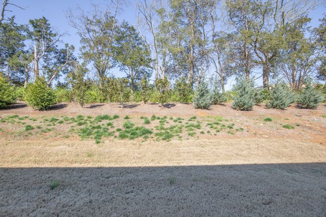 4231 Feetham Dr, Murfreesboro, TN 37129