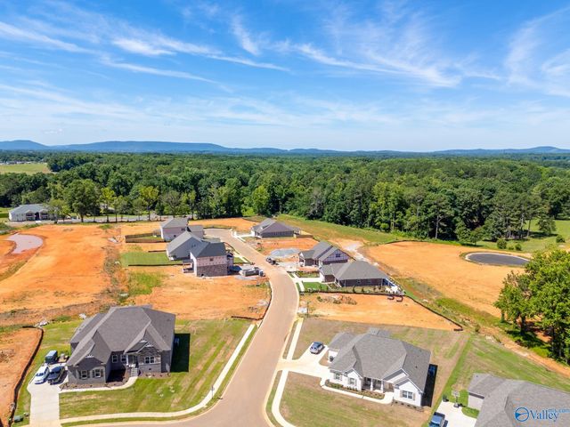 104 Ayers Spring Road, New Market, AL 35761