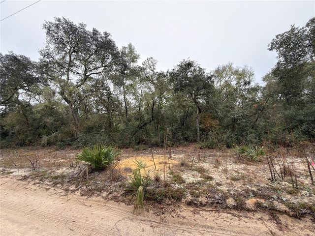 TBD NE 234TH PLACE, Fort Mc Coy, FL 32134