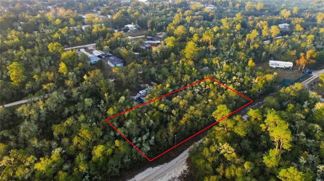 TBD NE 234TH PLACE, Fort Mc Coy, FL 32134