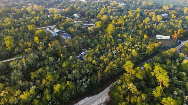 TBD NE 234TH PLACE, Fort Mc Coy, FL 32134