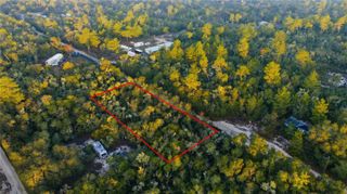 TBD NE 234TH PLACE, Fort Mc Coy, FL 32134