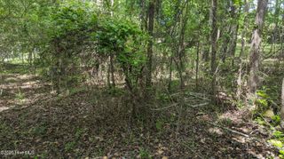 162 Buggy Drive W, Carthage, NC 28327