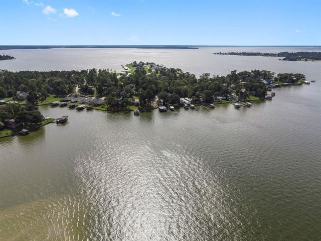 20 W Oakridge Drive, Point Blank, TX 77364