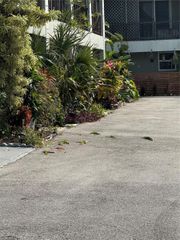 2452 Taylor Street 204, Hollywood, FL 33020