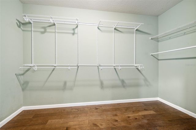 7167 BEEK STREET, Windermere, FL 34786