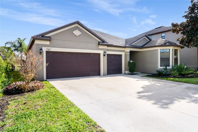 7167 BEEK STREET, Windermere, FL 34786