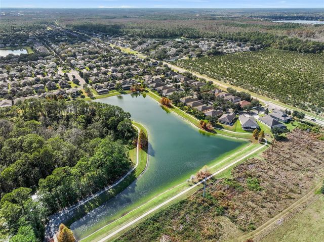 7167 BEEK STREET, Windermere, FL 34786