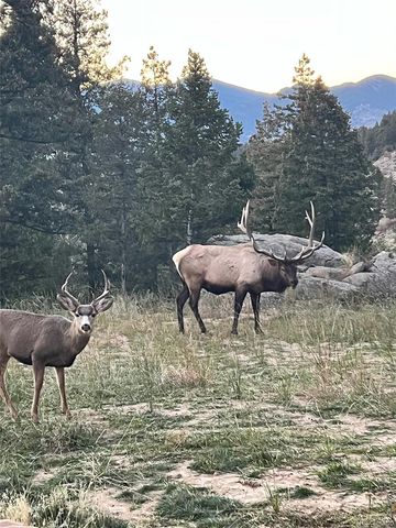 5457 Bear Mountain Drive, Evergreen, CO 80439