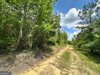 LOT 25 Rock Springs Road, Dublin, GA 31021
