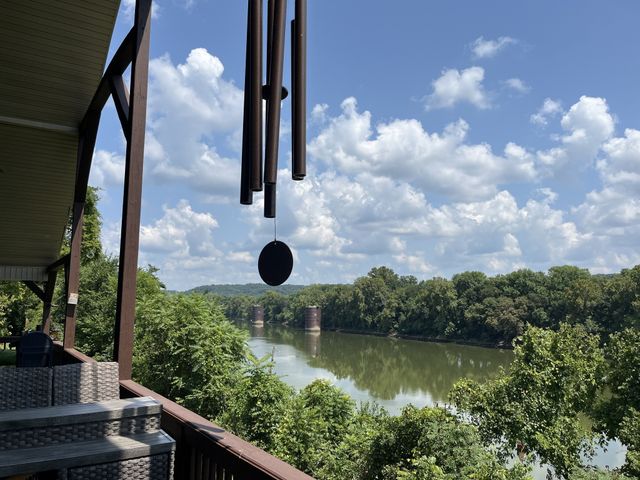 950 Sauger Dr, Charlotte, TN 37036