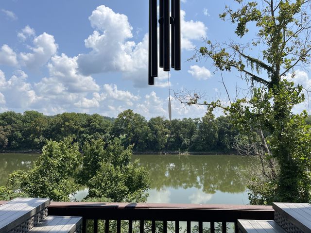 950 Sauger Dr, Charlotte, TN 37036