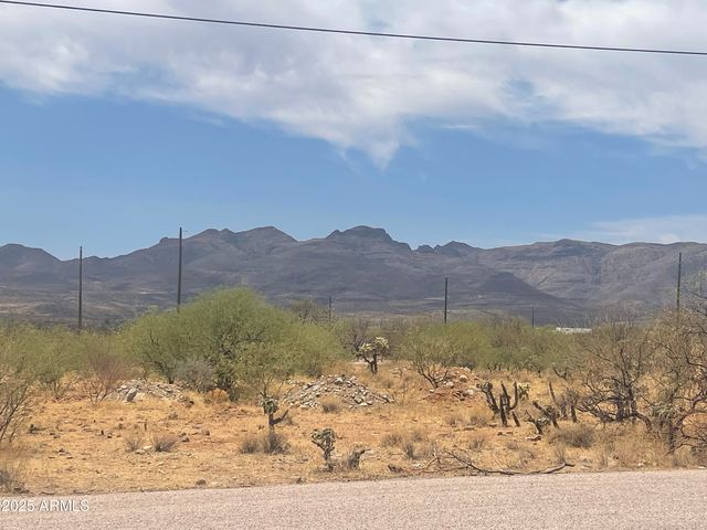 1825 VIA NUEVA ZELANDIA --, Rio Rico, AZ 85648