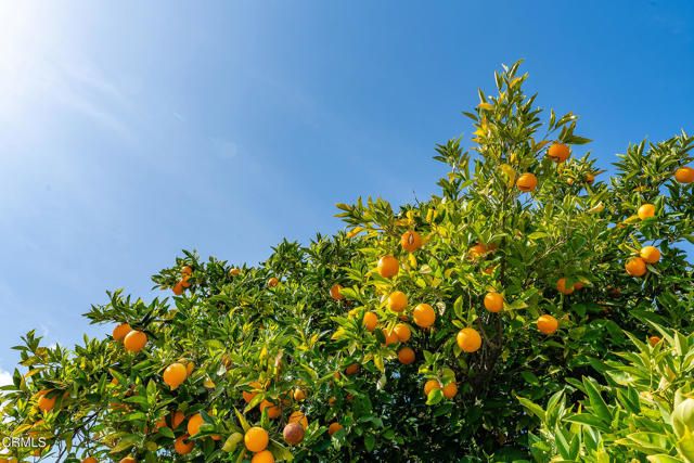 3941 Walnut Avenue, Simi Valley, CA 93063