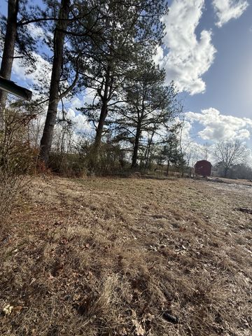 174 Mail Rd, Hohenwald, TN 38462