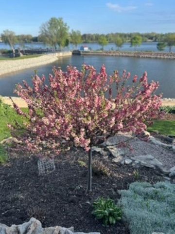 111 CANAL STREET, Little Chute, WI 54140