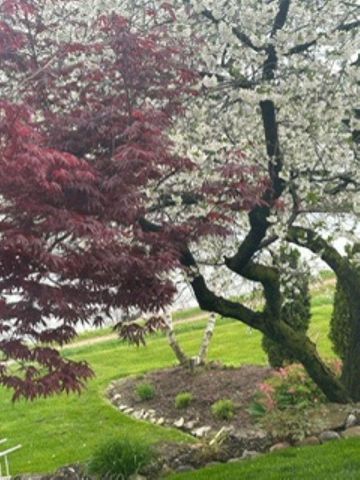 111 CANAL STREET, Little Chute, WI 54140