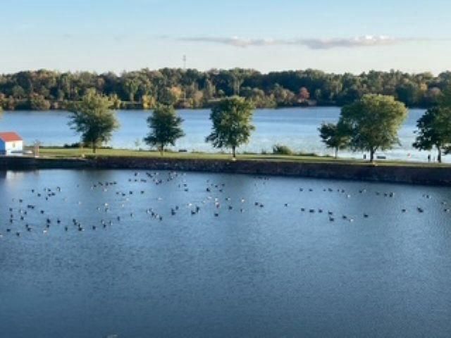 111 CANAL STREET, Little Chute, WI 54140