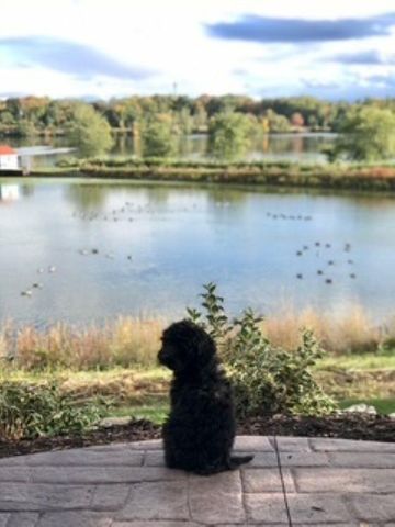 111 CANAL STREET, Little Chute, WI 54140