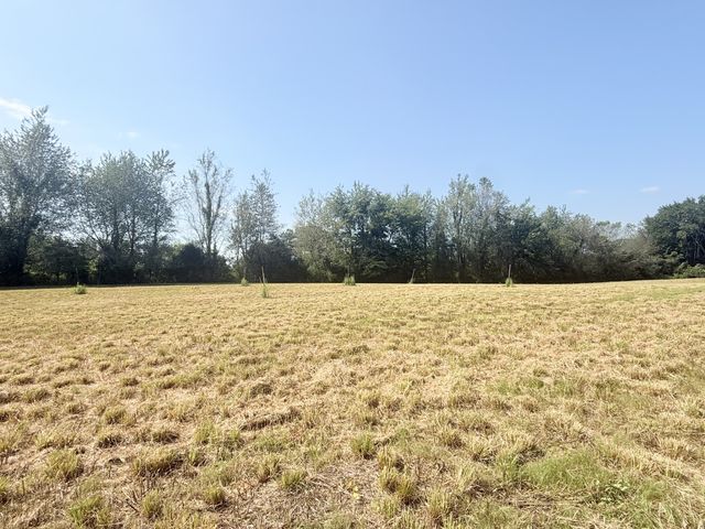 6217 Buzzard Creek Rd, Cedar Hill, TN 37032