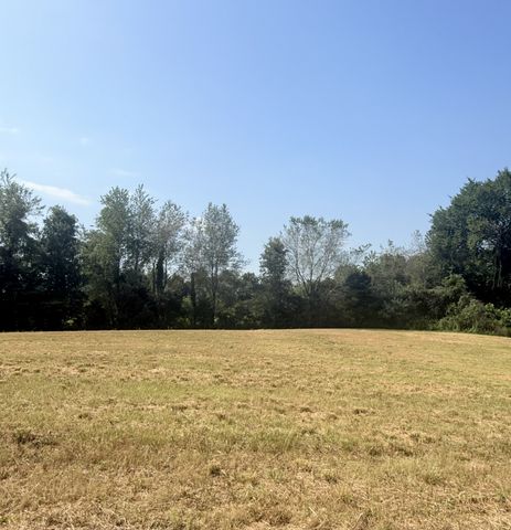 6217 Buzzard Creek Rd, Cedar Hill, TN 37032