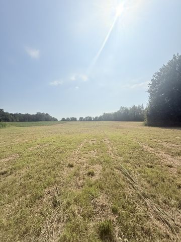 6217 Buzzard Creek Rd, Cedar Hill, TN 37032
