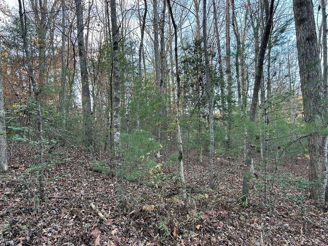 Lot 12 Tombstone Drive, Blairsville, GA 30512