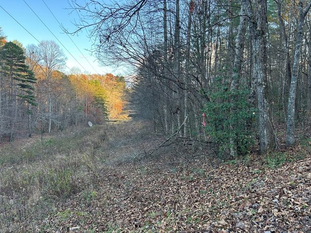 Lot 12 Tombstone Drive, Blairsville, GA 30512