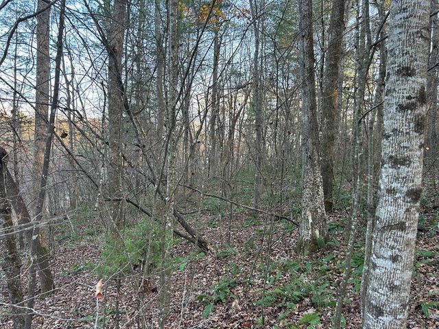 Lot 12 Tombstone Drive, Blairsville, GA 30512