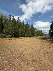 Ponderosa Way, Shingletown, CA 96088