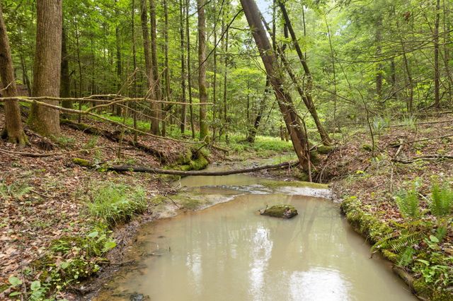 13 Clay-Alexander, Campton, KY 41301