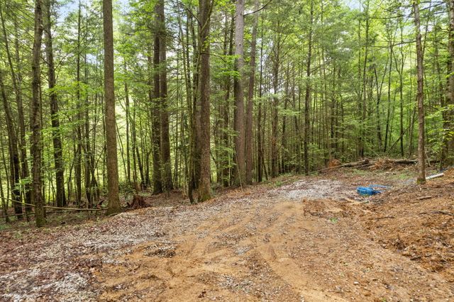 13 Clay-Alexander, Campton, KY 41301